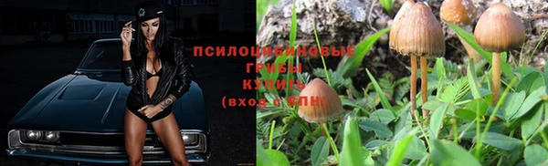 марихуана Зеленокумск