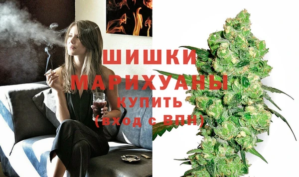 прущие грибы Зеленодольск