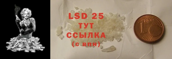прущие грибы Зеленодольск