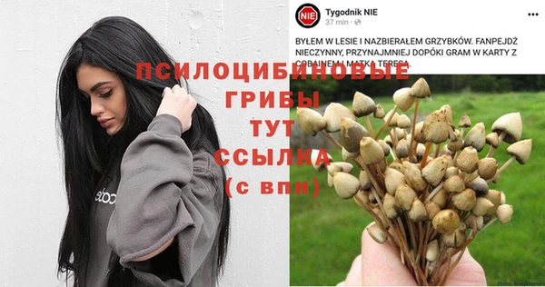 прущие грибы Зеленодольск