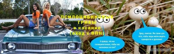 прущие грибы Зеленодольск