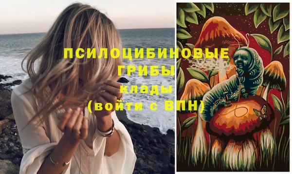 прущие грибы Зеленодольск