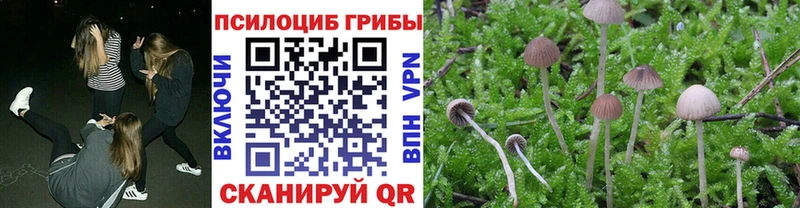 Купить где  Демидов  Галлюциногенные грибы Magic Shrooms 